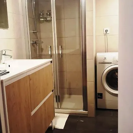 Cosy Appartement, Dans Les Pentes De La Croix Rousse 公寓 *